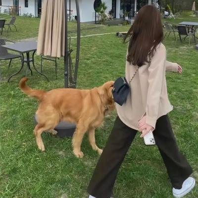 无忧面包店第二部