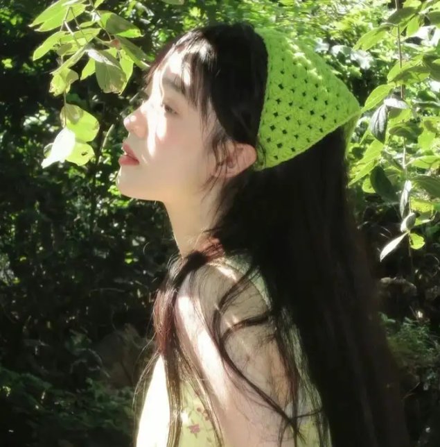 维京小海盗